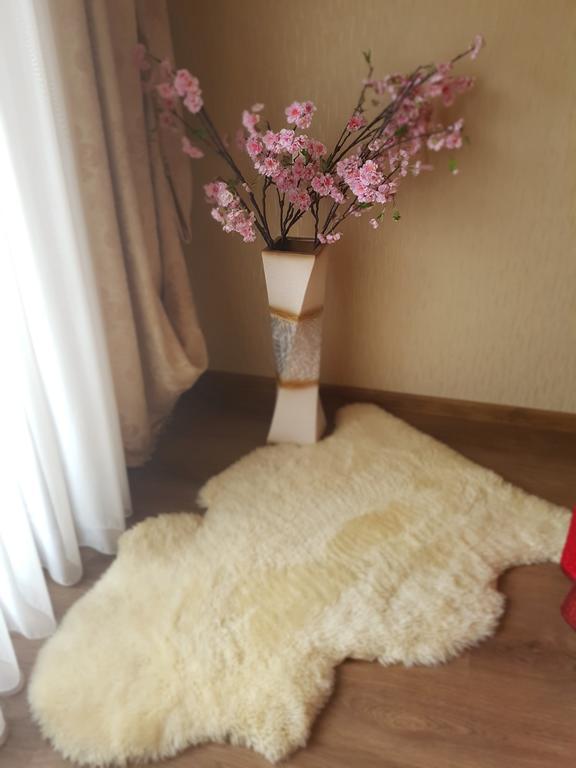 Riga Airport Apartment Zewnętrze zdjęcie